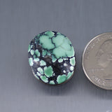 Sky Horse Turquoise Cabochon A266