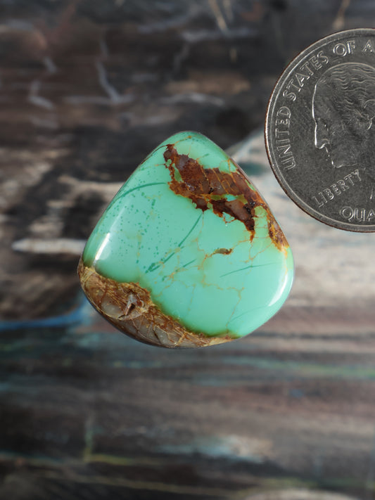 Royston Montezuma Turquoise Cabochon Q097
