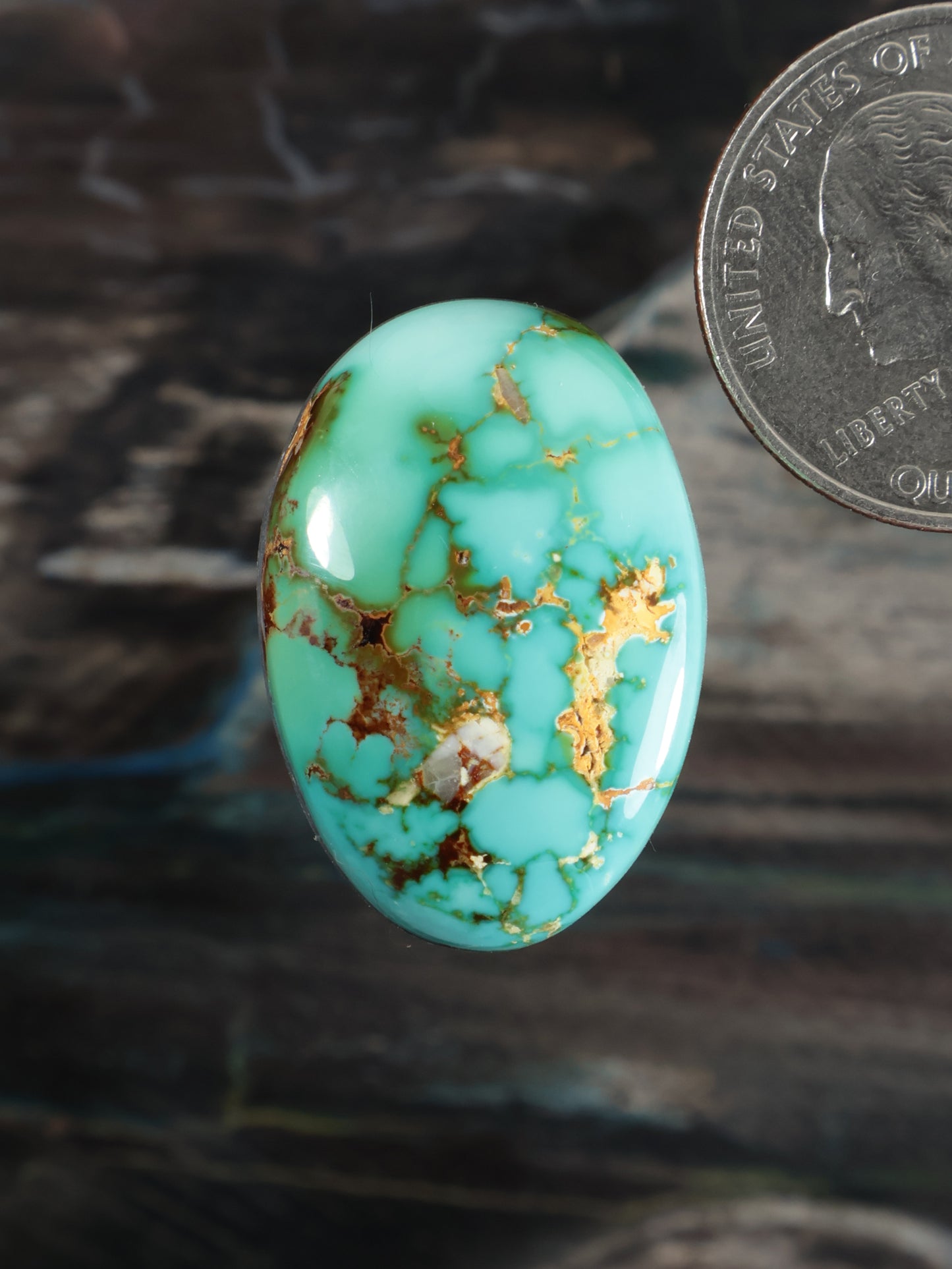 Royston Montezuma Turquoise Cabochon Q095