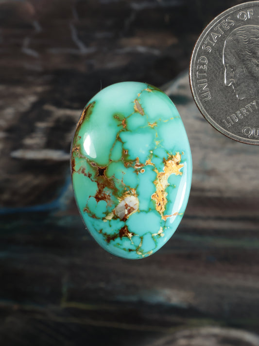 Royston Montezuma Turquoise Cabochon Q095