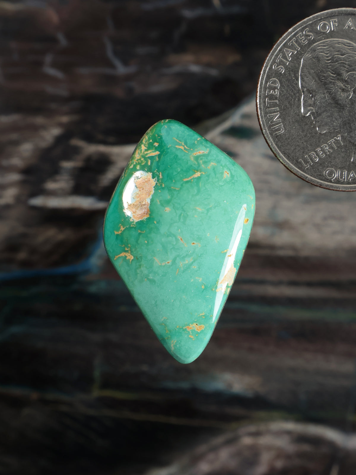 Royston Montezuma Turquoise Cabochon Q100