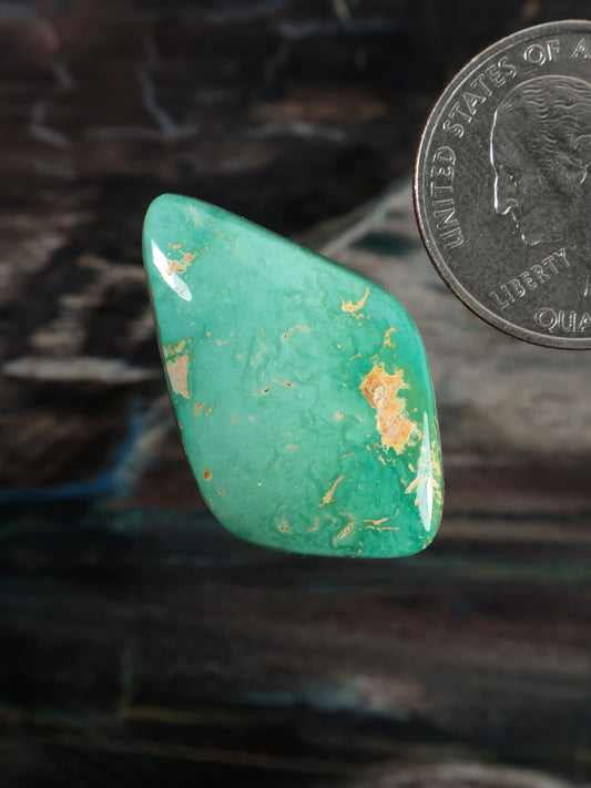 Royston Montezuma Turquoise Cabochon Q100