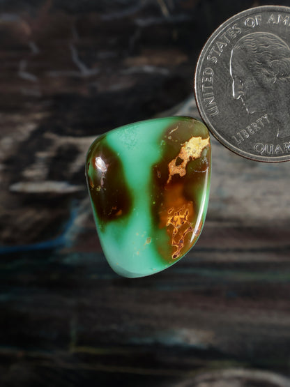 Royston Montezuma Turquoise Cabochon Q102