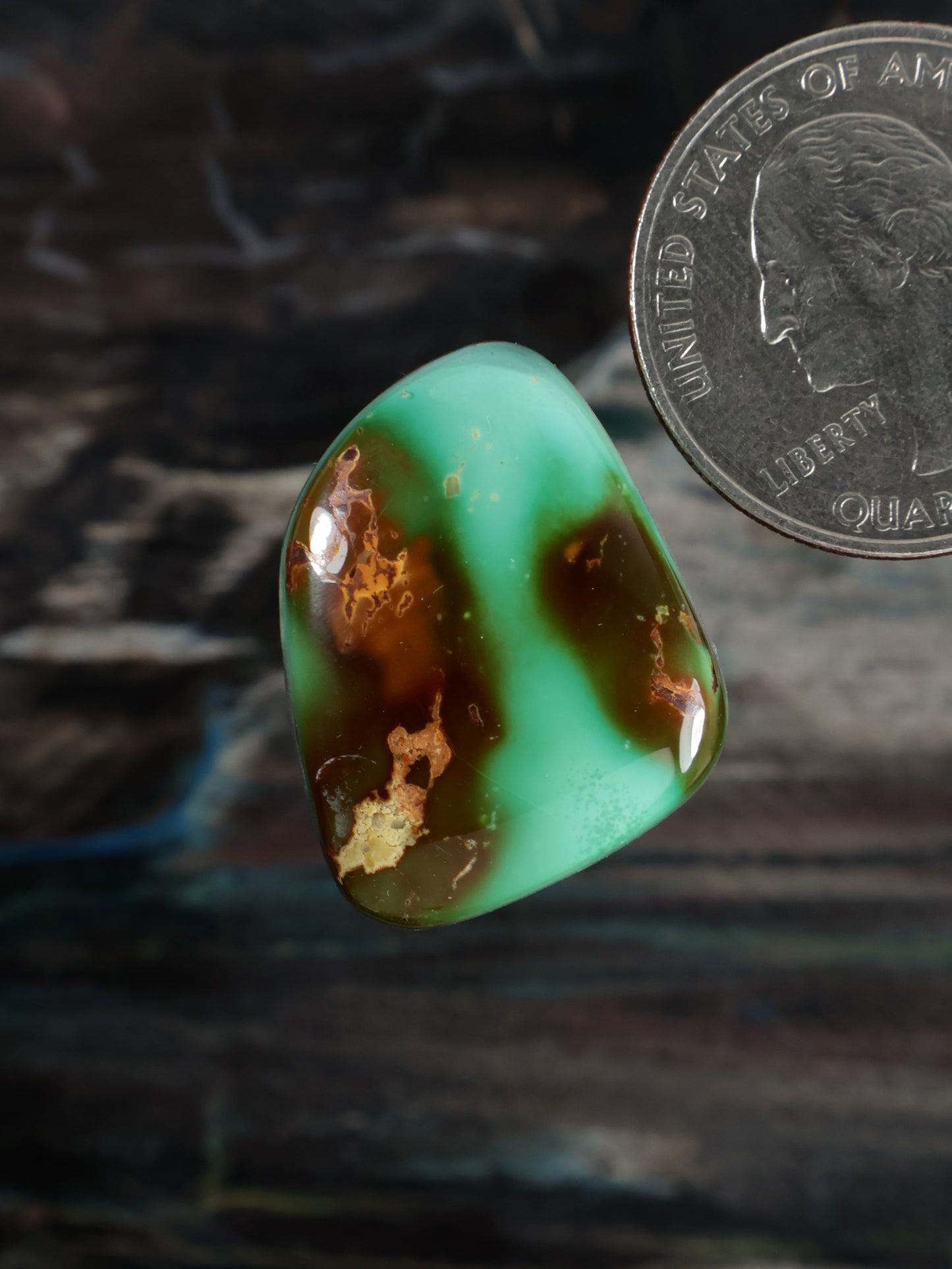 Royston Montezuma Turquoise Cabochon Q102