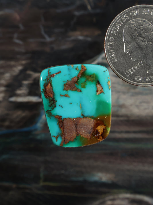 Royston Montezuma Turquoise Cabochon Q105
