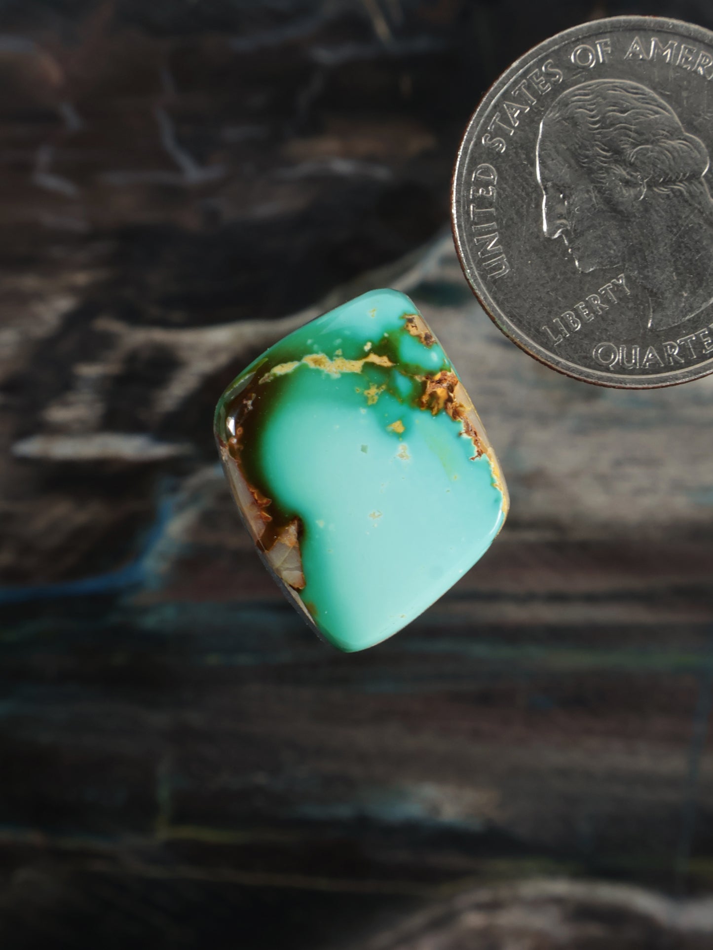 Royston Montezuma Turquoise Cabochon Q104