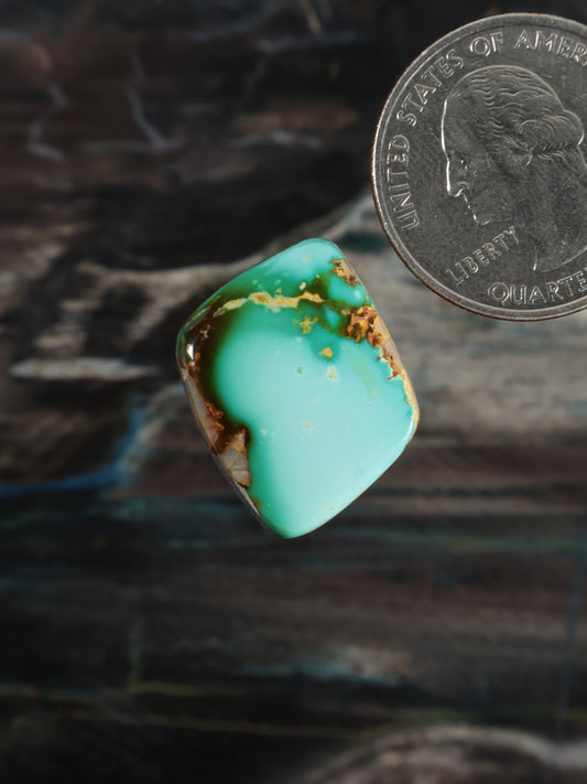 Royston Montezuma Turquoise Cabochon Q104