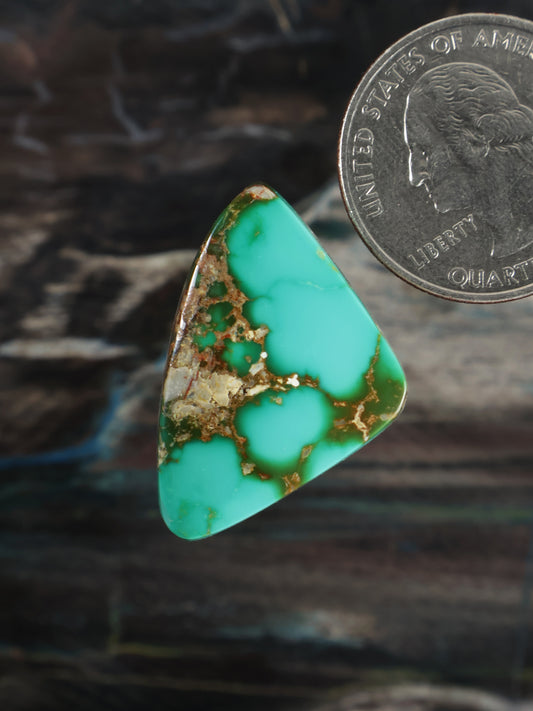 Royston Montezuma Turquoise Cabochon Q092