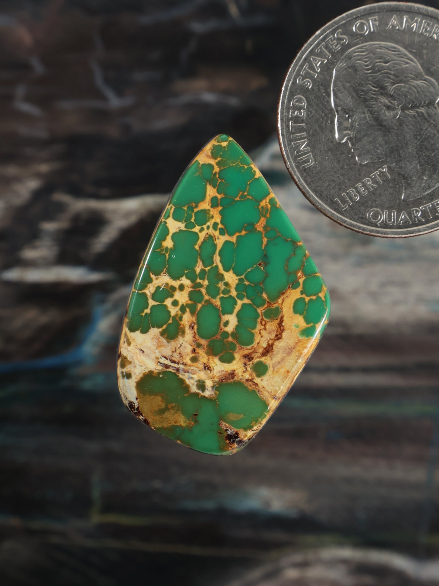 Royston Montezuma Turquoise Cabochon Q098