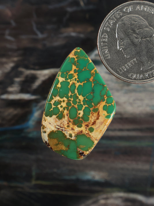 Royston Montezuma Turquoise Cabochon Q098
