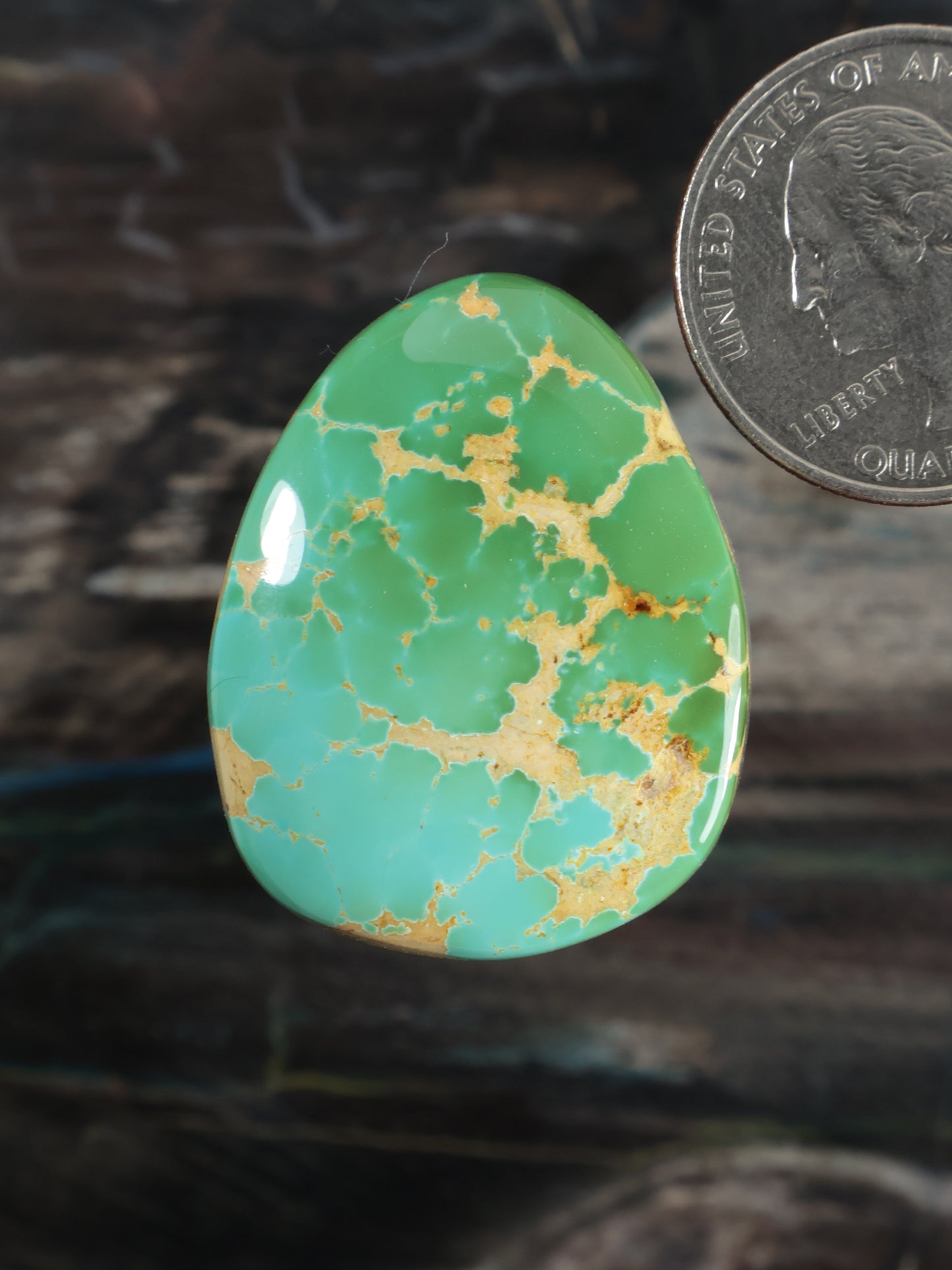 Royston Montezuma Turquoise Cabochon Q096