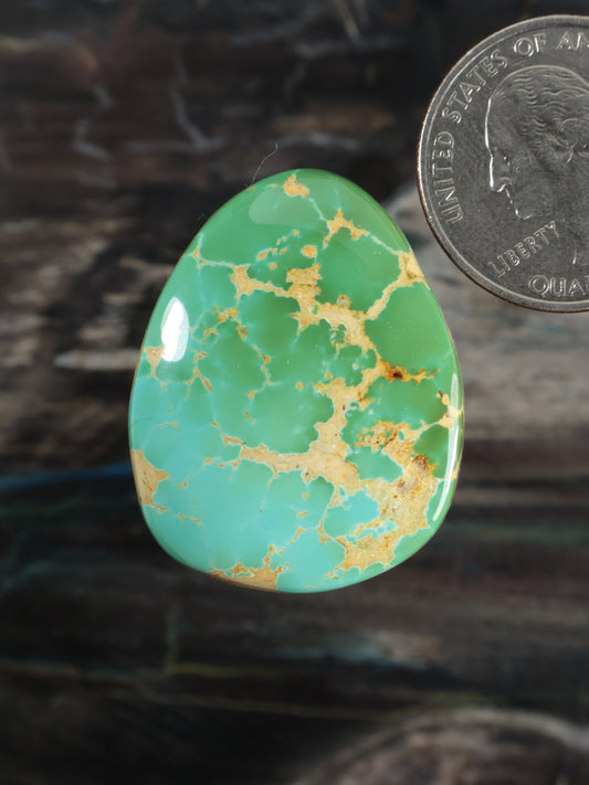 Royston Montezuma Turquoise Cabochon Q096