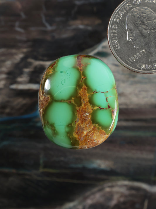 Royston Montezuma Turquoise Cabochon Q099