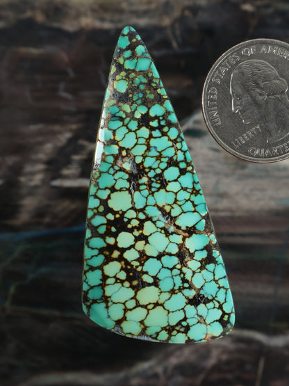 Skyhorse Turquoise Cabochon Q056