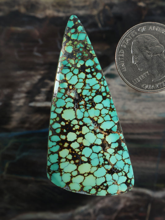 Skyhorse Turquoise Cabochon Q056