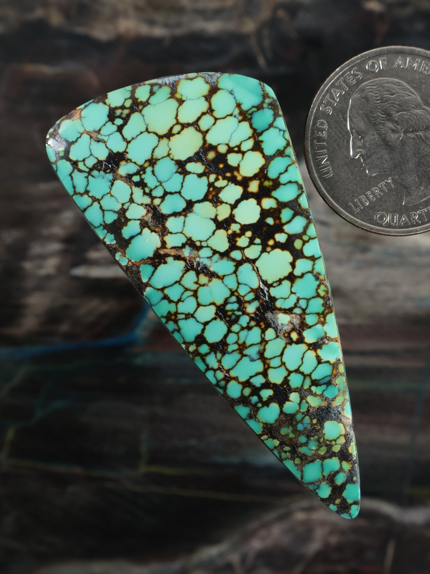 Skyhorse Turquoise Cabochon Q056