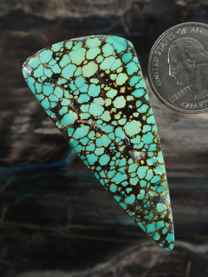 Skyhorse Turquoise Cabochon Q056