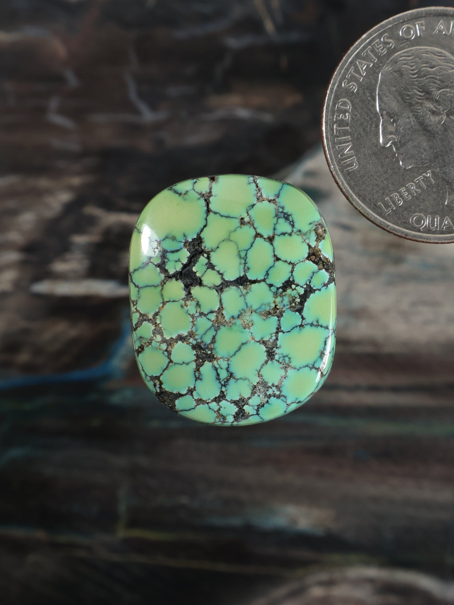 Skyhorse Turquoise Cabochon Q063