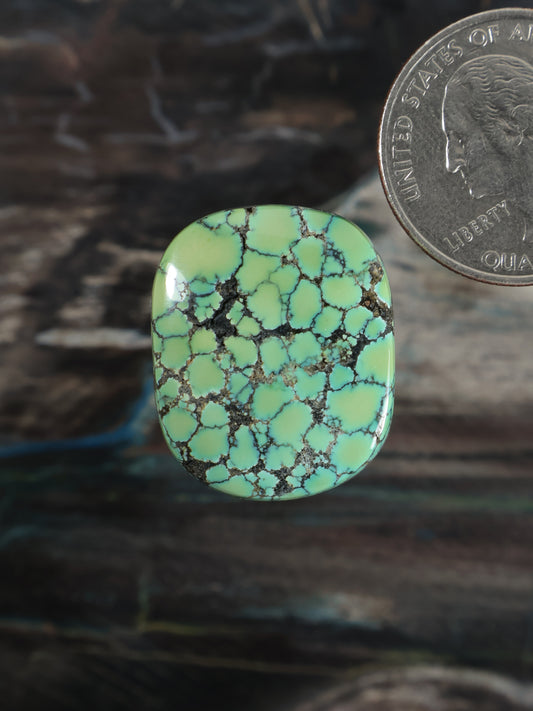 Skyhorse Turquoise Cabochon Q063