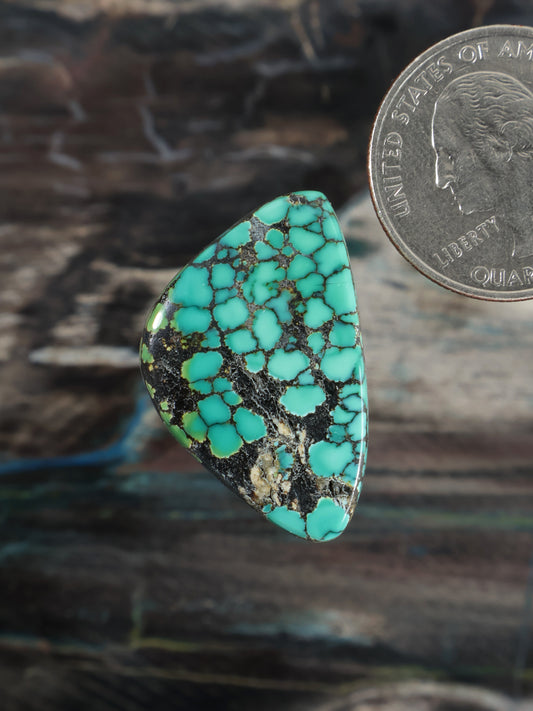 Skyhorse Turquoise Cabochon Q055