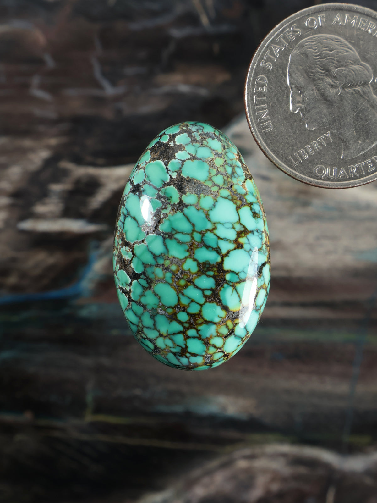 Skyhorse Turquoise Cabochon Q062