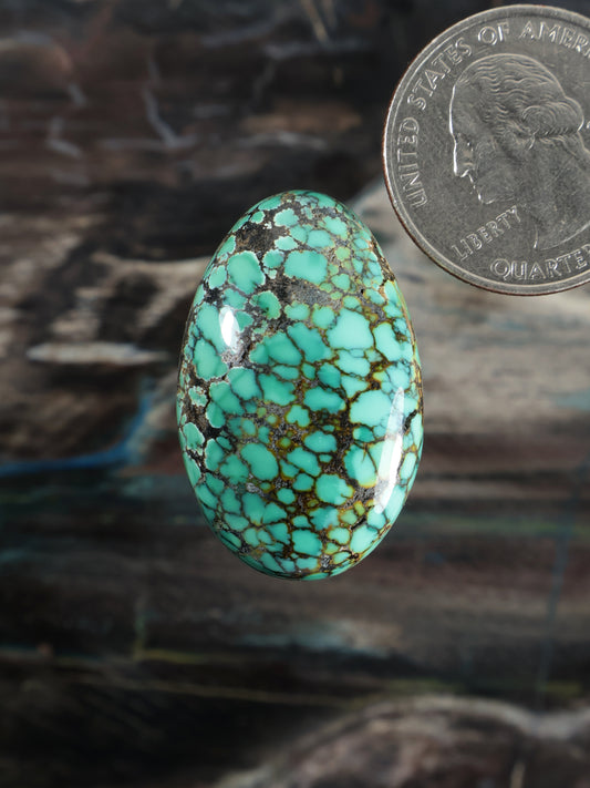 Skyhorse Turquoise Cabochon Q062