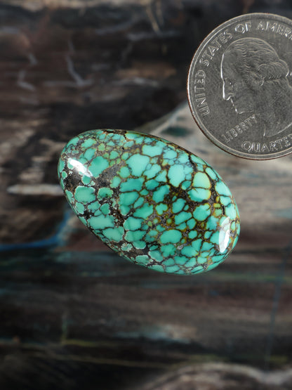 Skyhorse Turquoise Cabochon Q062