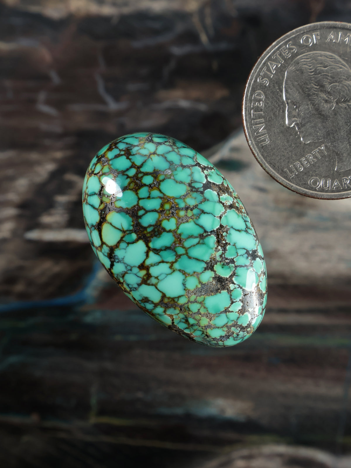 Skyhorse Turquoise Cabochon Q062