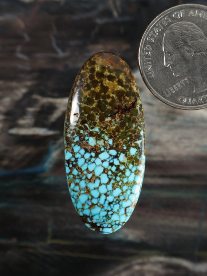 Kingman Red Web Turquoise Cabochon A249