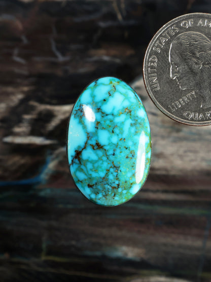 Oval turquoise cabochon with black web pattern, glossy surface; beside a quarter coin