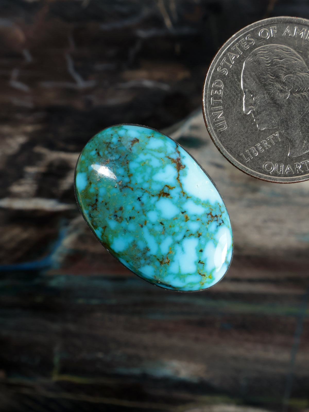 Turquoise oval cabochon with black web veins, smooth glossy face next to a quarter
