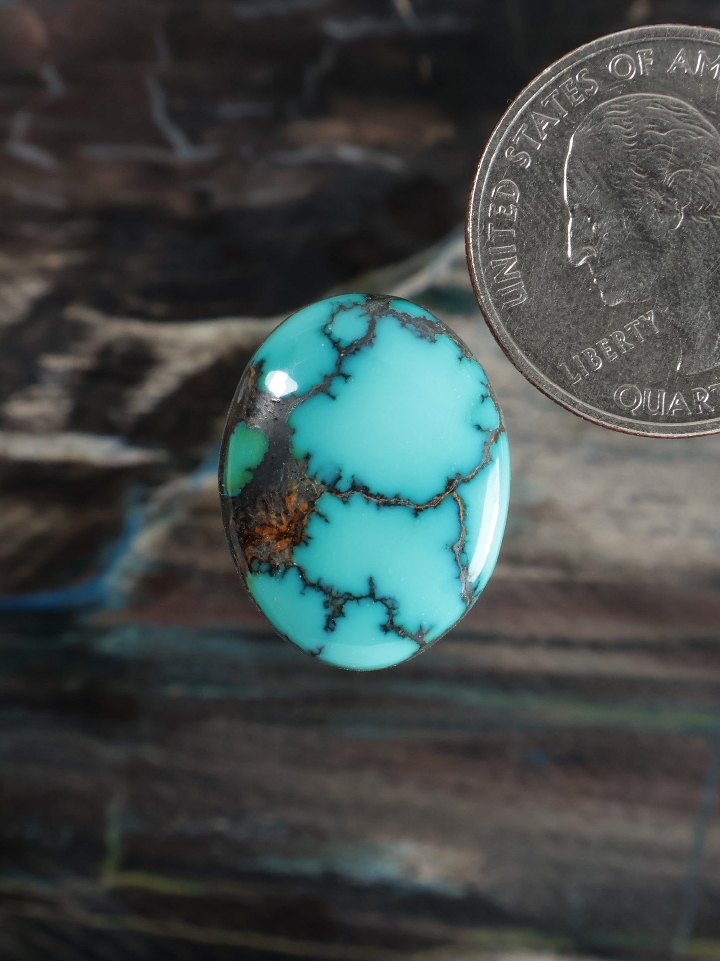 Skyhorse Turquoise Cabochon Q053