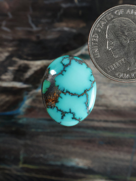Skyhorse Turquoise Cabochon Q053
