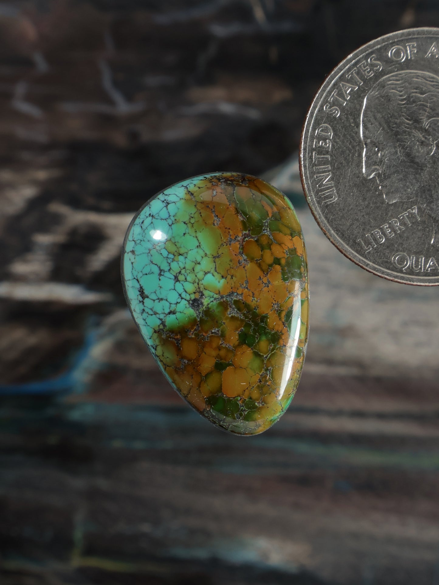 Skyhorse Turquoise Cabochon Q057