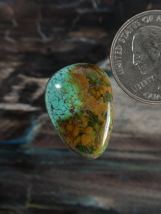 Skyhorse Turquoise Cabochon Q057