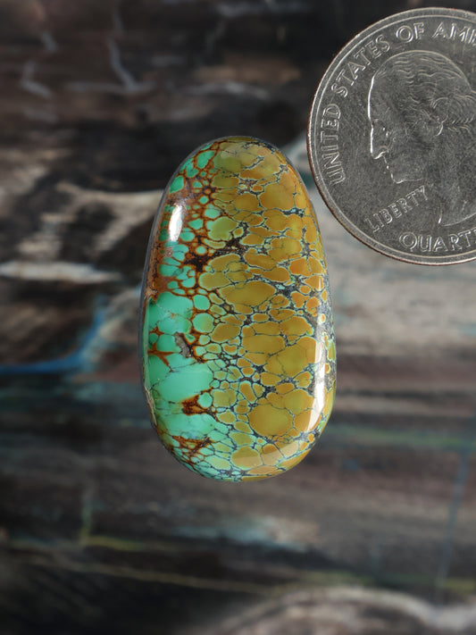 Skyhorse Turquoise Cabochon Q058