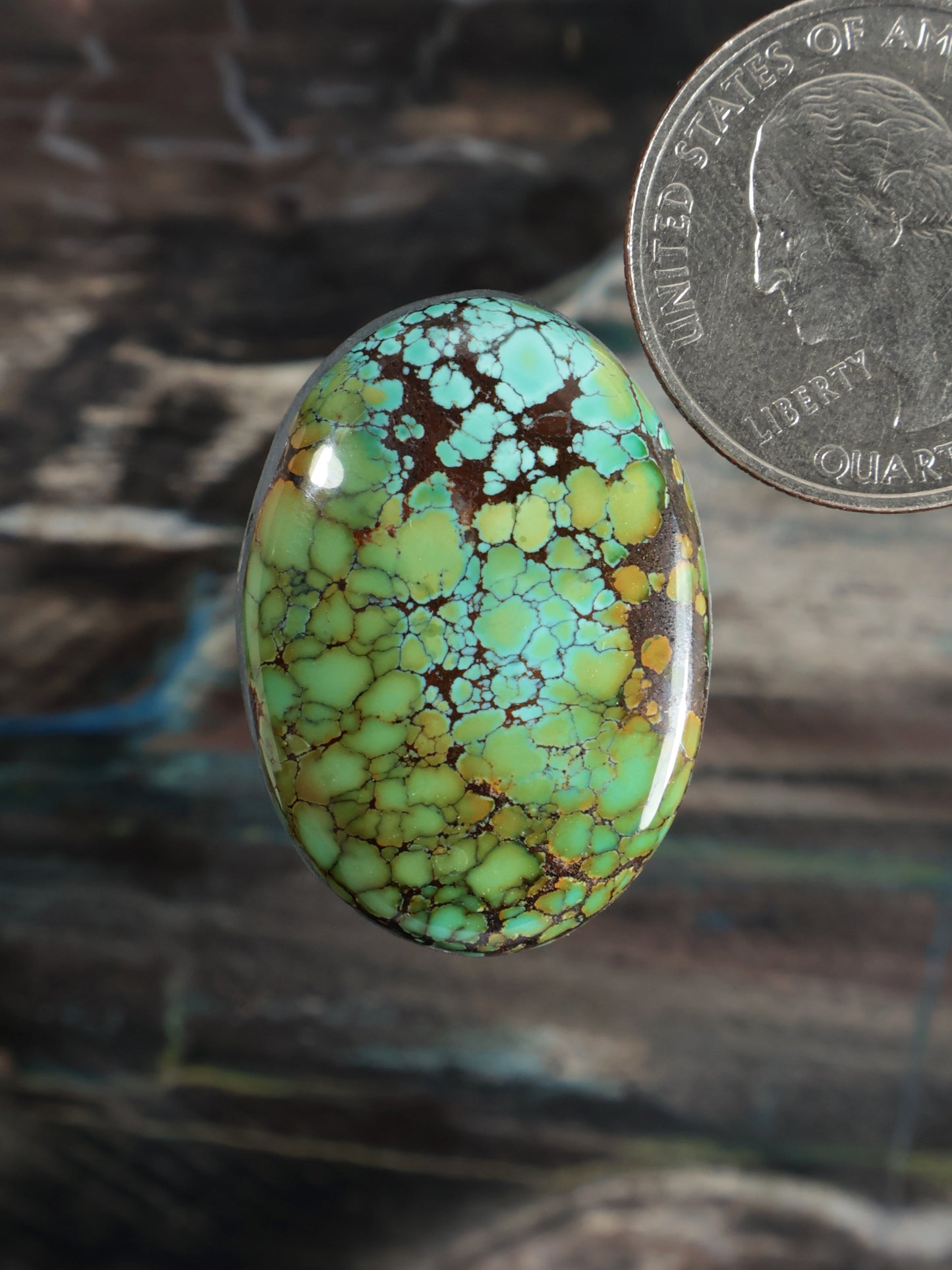 Skyhorse Turquoise Cabochon Q060