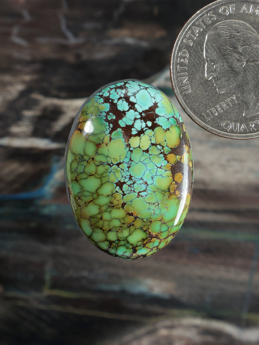 Skyhorse Turquoise Cabochon Q060