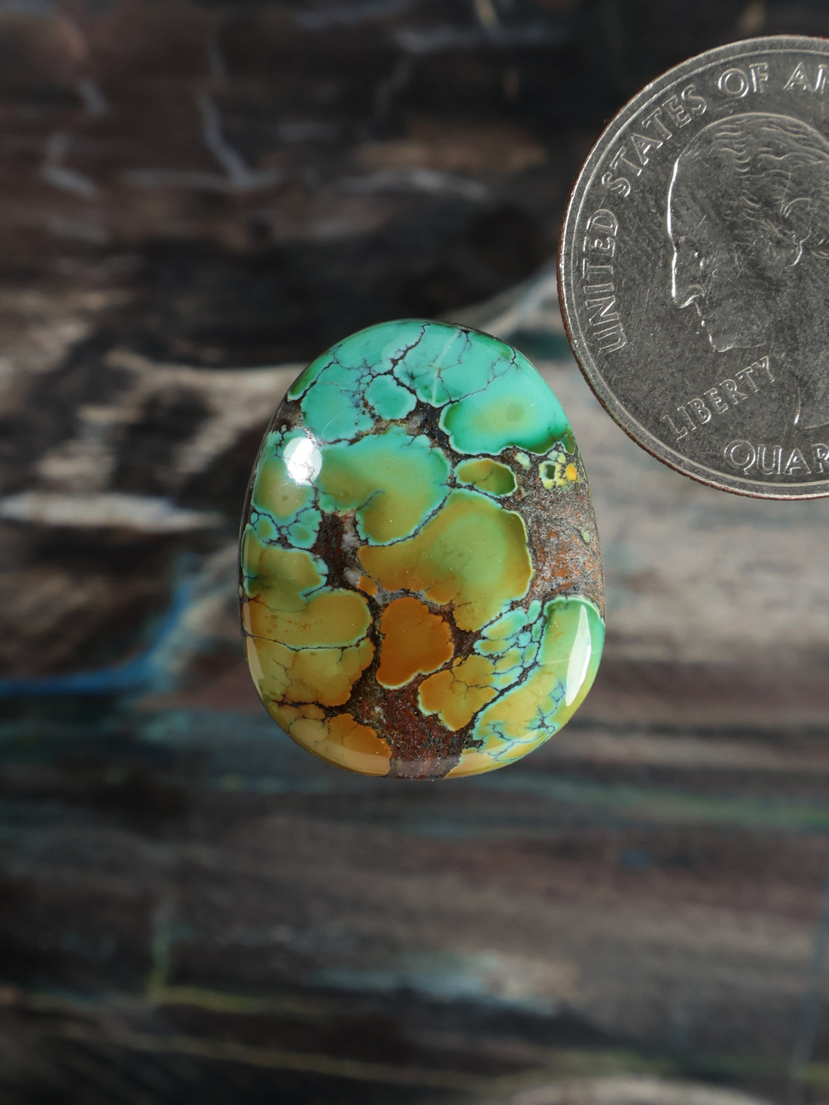 Skyhorse Turquoise Cabochon Q061