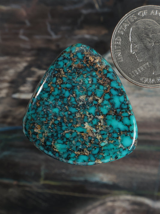 Moon River Turquoise Cabochon Q064