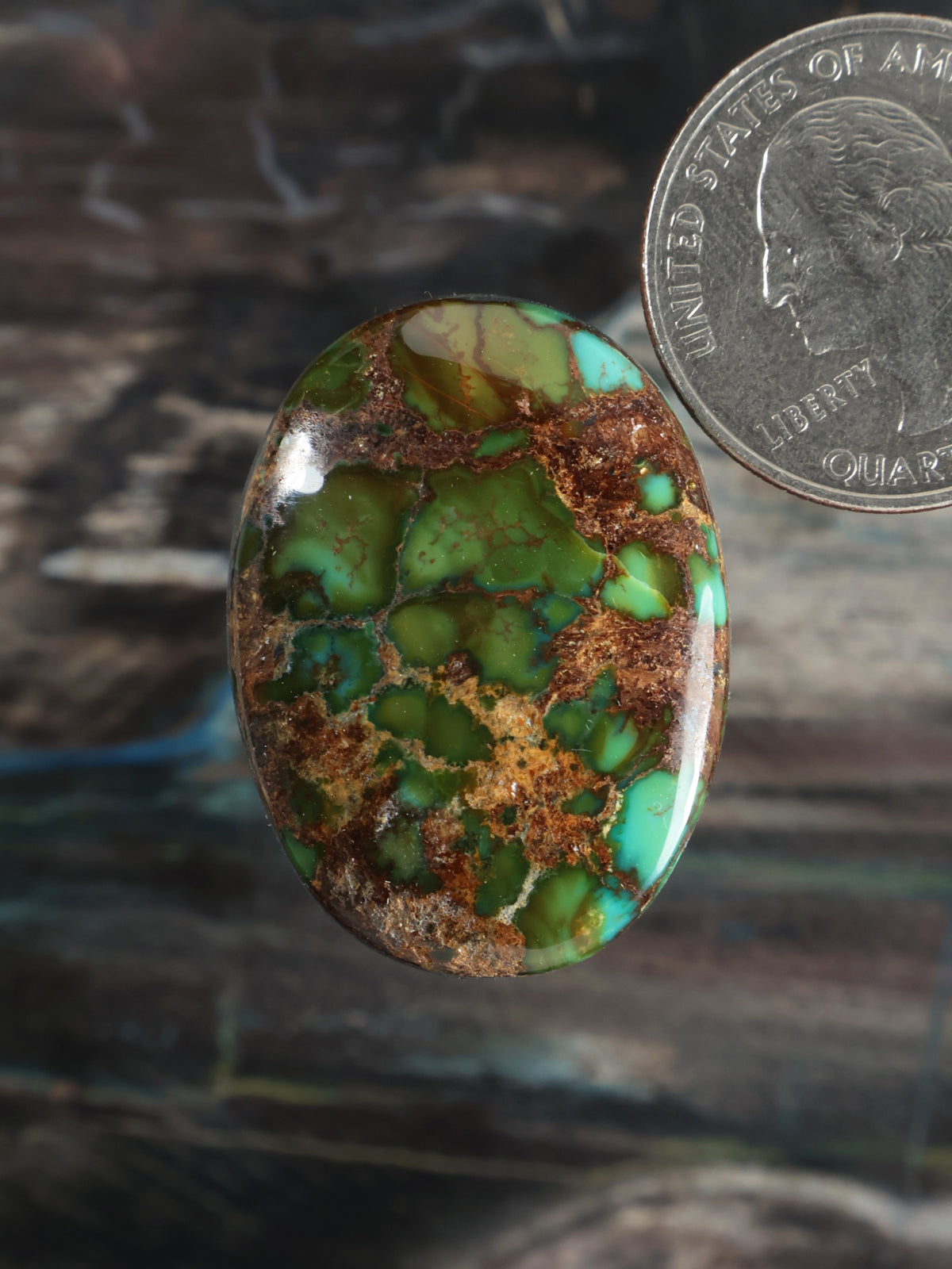 Moon River Turquoise Cabochon Q065