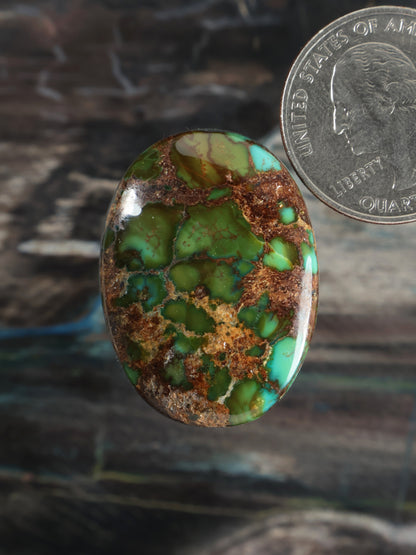 Moon River Turquoise Cabochon Q065