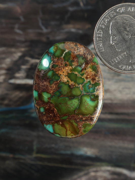 Moon River Turquoise Cabochon Q065