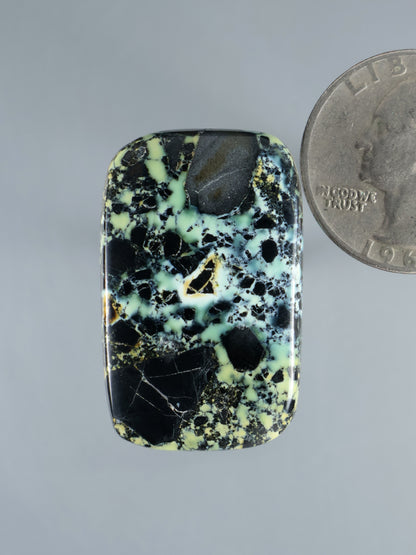 Prince Variscite cabochon with black matrix and mint green veining, oval-square cut