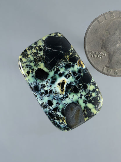 Prince Variscite cabochon, tilted oval-rectangle with black matrix and mint green veining
