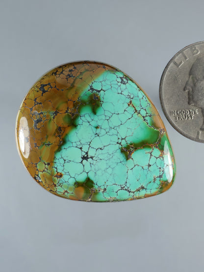 Turquoise teardrop cabochon gemstone with brown streaks and cracked stone pattern, domed