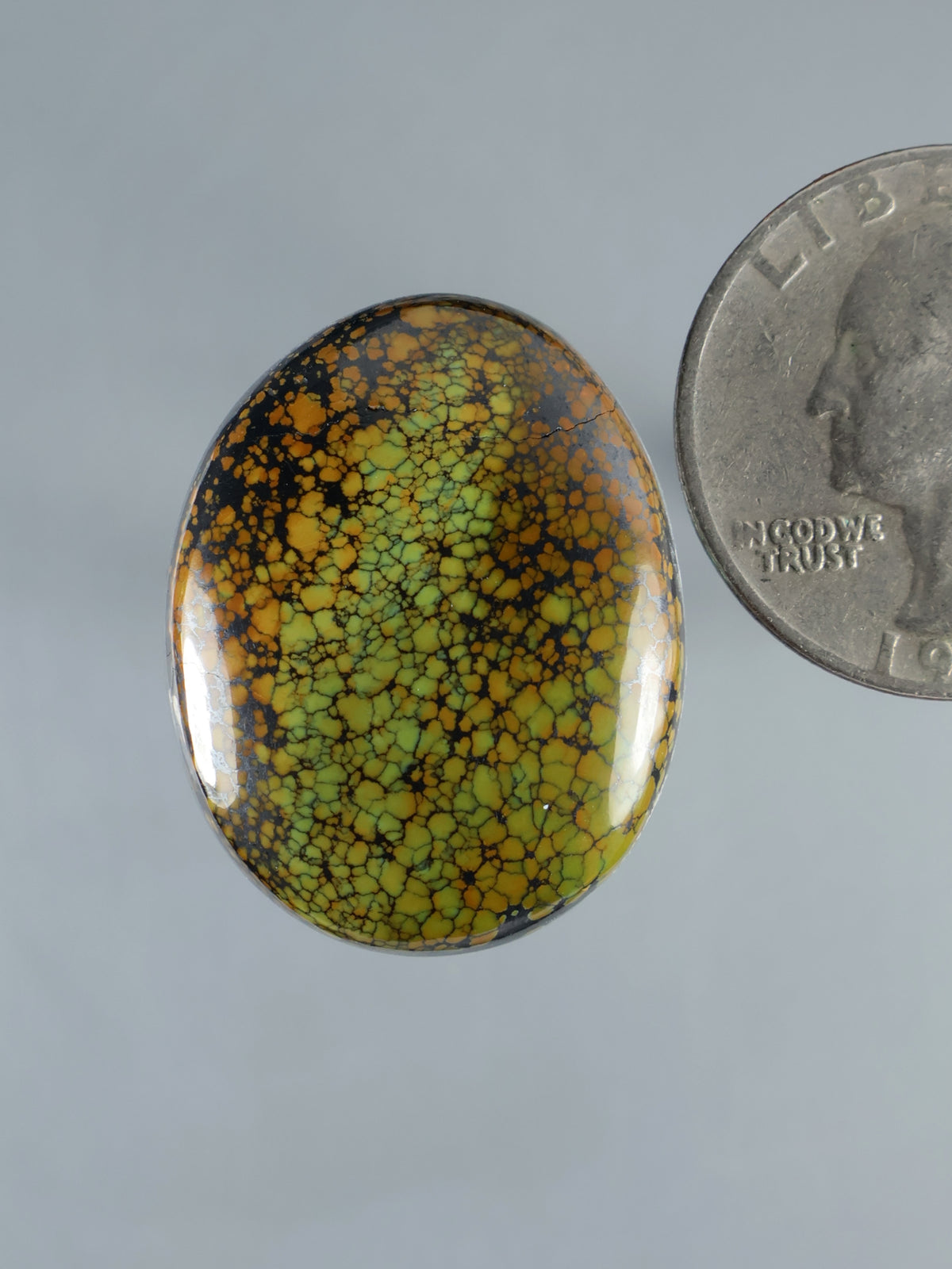 Turquoise dragonskin oval cabochon with silver-toned rim, speckled green and gold