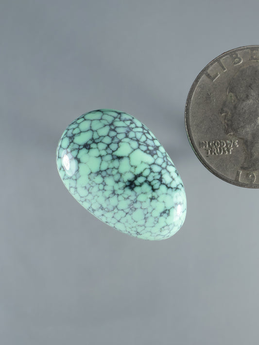 Larger oval variscite cabochon with turquoise-green and black vein web