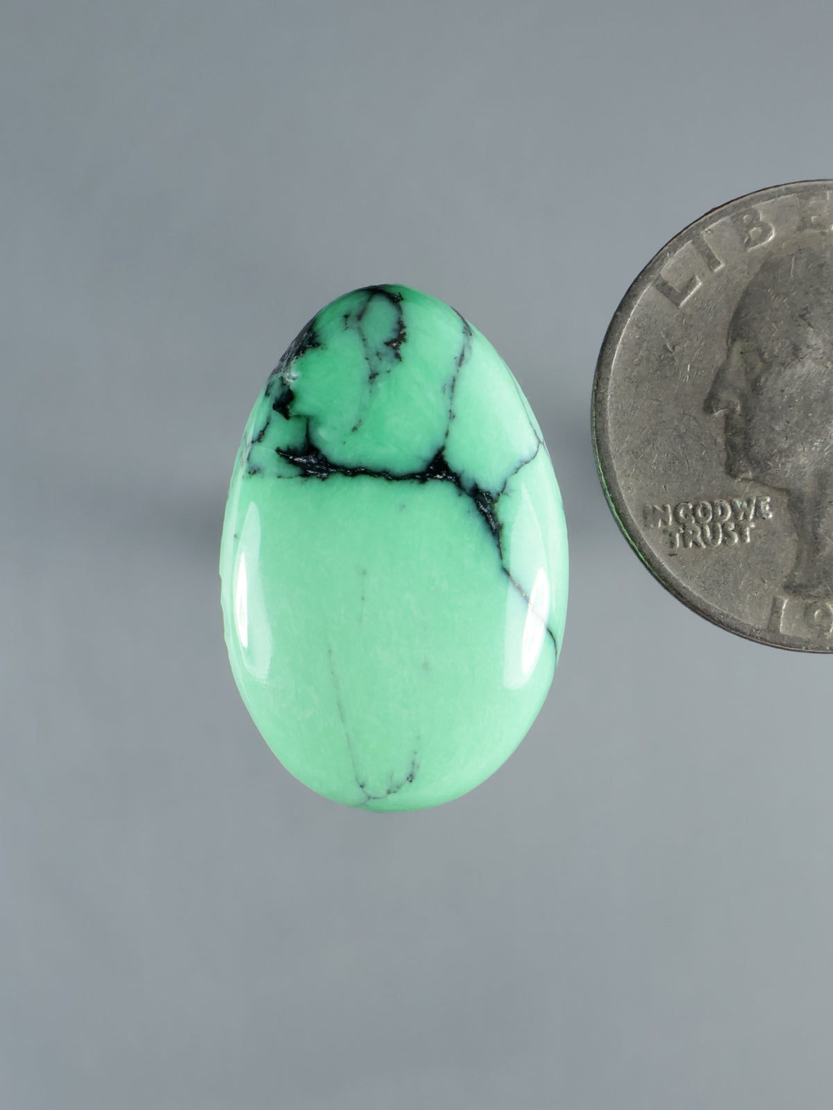 Green variscite oval cabochon with dark black matrix veining