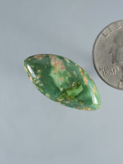 Oval green turquoise cabochon gemstone, marbled with gold-brown matrix, glossy finish